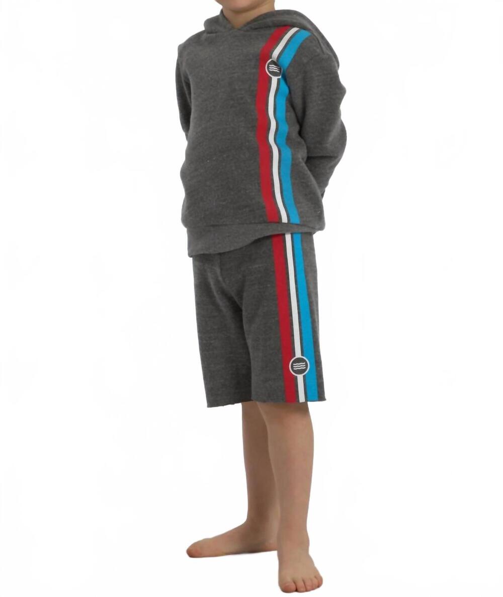 NEW SOL ANGELES pullover striped hoodie in gray